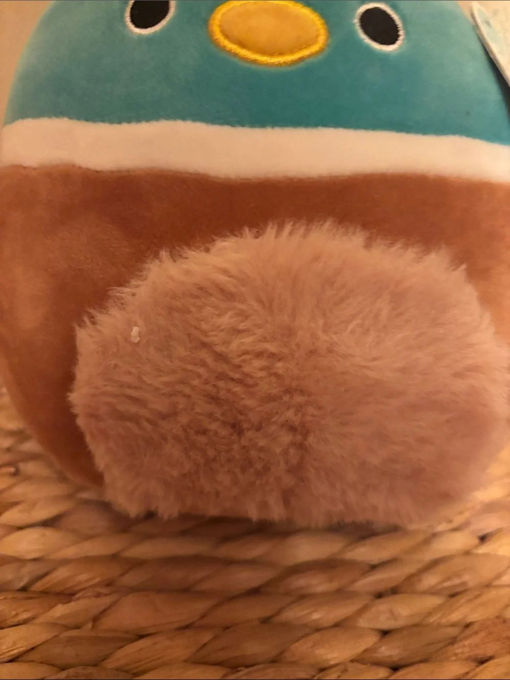Squishmallows Teal and Brown Bunny-Eared Plush Small Pet Toy”Daksa”